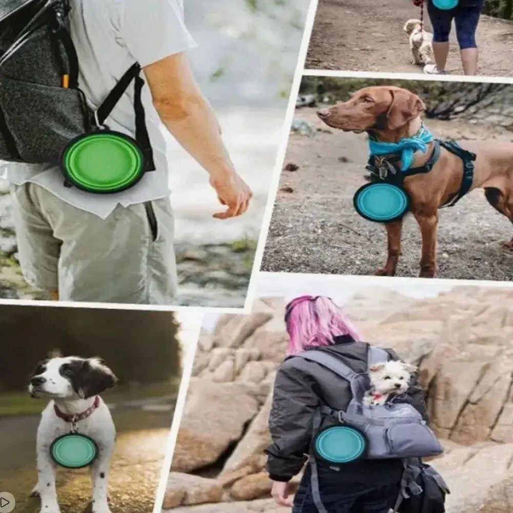 New collapsible dog dish